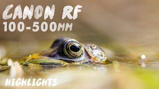 Canon RF 100500mm f4571  Highlights with both Photo and Video samples [upl. by Olraced]