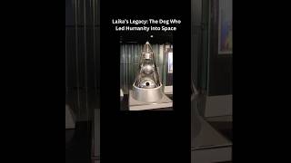 Laika’s Legacy The Dog Who Led Humanity into Space [upl. by Telimay]