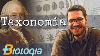 Taxonomia e Sistemática filogenética  Classificação biológica em Mais Biologia com Roger Maia [upl. by Mor842]