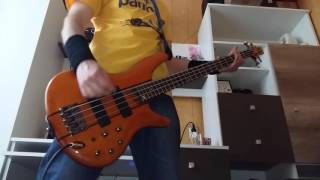 Urszula  Na Sen bass cover HD [upl. by Alecia922]