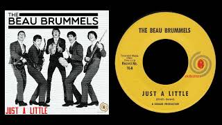 Beau Brummels  Just A Little 1965 [upl. by Orag]