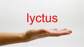 How to Pronounce lyctus  American English [upl. by Hanako]