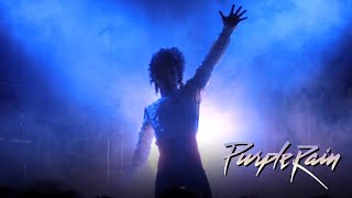 Riffs Ruffles and a Revolution The Impact and Influence of Purple Rain  Purple Rain [upl. by Nalyd]