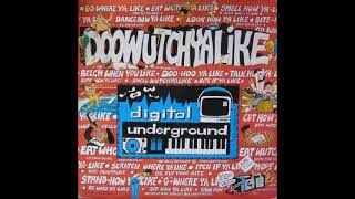 Digital Underground  Hip Hop Doll Vocal Mix [upl. by Leonie724]