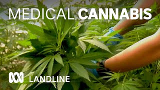 Boom in use of medical cannabis in Australia 🌿⚕  Landline  ABC Australia [upl. by Llieno640]