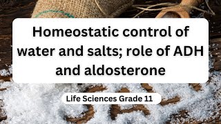 Homeostatic control of water and salts role of ADH and aldosterone [upl. by Angel]