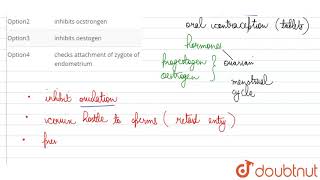 Progestin in the contraceptive pill [upl. by Eelarual]