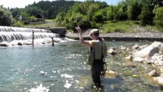 Savinja fly fishing [upl. by Winebaum292]