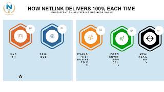 Netlink Corporate Portfolio Short [upl. by Ailedo748]