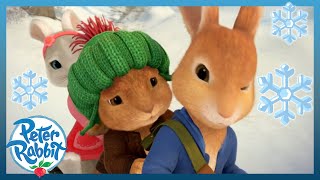 OfficialPeterRabbit  ❄️ Spectacular Sledge Adventures This Winter ❄️  Cartoons for Kids [upl. by Elia]