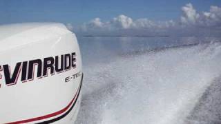 Evinrude Etec 115 [upl. by Brock]