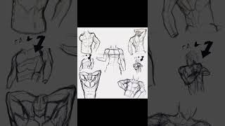 muscular men anatomy [upl. by Altis]