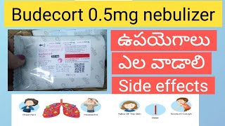 budecort 05mg uses in telugu budecort nebulizer suspension uses nebulization nebulizer cough [upl. by Luz611]