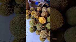 Durian Sinapeul Majalengka [upl. by Hugo875]