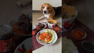 Makanan Indo mewah untuk anjing [upl. by Ahsetan]