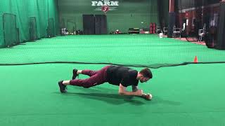 Plank with Contralateral Lift [upl. by Mukerji]