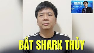 Nóng Shark thủy bị bắt Tiểu sử và sự nghiệp gây bất ngờ [upl. by Vachell]