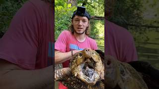 The Worlds Most Dangerous Turtle 🐢youtubeshorts shorts [upl. by Htebizile]