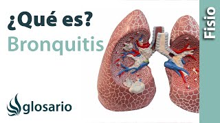 BRONQUITIS  Qué es qué estructuras afecta síntomas signos causas y tratamiento fisioterapéutico [upl. by Litt]