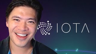 What is IOTA in a Nutshell [upl. by Sibley202]