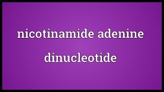 Nicotinamide adenine dinucleotide Meaning [upl. by Irrek]