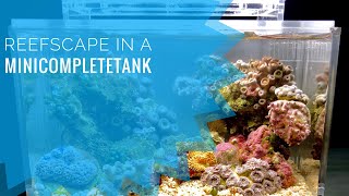 Minicompletetank Reefscape [upl. by Fan]