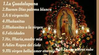 Cantos a la virgen de Guadalupe [upl. by Edialeda34]