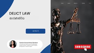 Speed Up Kuppi  Delict Law  Level 6  කාරණත්වය [upl. by Manton297]