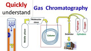 Gas chromatography  GC [upl. by Nonnel]