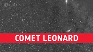 Comet Leonard Seen by the Solar Orbiter Heliospheric Imager SoloHI [upl. by Dill]