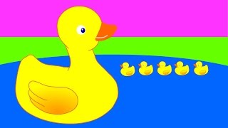 5 petits canards  La chanson pour enfants  adaptation originale [upl. by Ilat515]