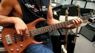 Hamer Velocity Bass [upl. by Winters]