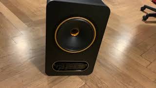 TANNOY GOLD 8 Studio Monitor  UNBOXING [upl. by Ettezyl82]