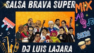 SALSA BRAVA SUPER MIX [upl. by Inahpets]