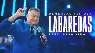 Labaredas  Demerval Feitosa [upl. by Araj]