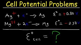 Cell Potential Problems  Electrochemistry [upl. by Schrick213]