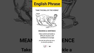 Take the bull by the hornsenglishphrases shorts [upl. by Esekram]