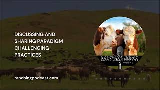 Ep 396 – Jonathan and Stefan Bouw – A Journey into GrassBased Genetics  Working Cows [upl. by Akenal]