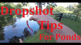 Dropshot Pond Fishing  Dropshot Tips [upl. by Wickman620]