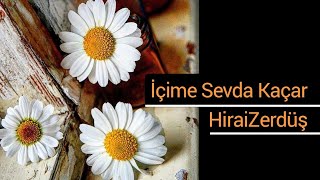 İçime sevda kaçar  HiraiZerdüş [upl. by Enidualc]