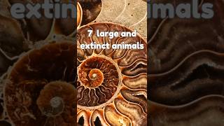 7 notable extinct and large animals facts biology [upl. by Haraj]