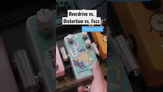 Overdrive vs Distortion vs Fuzz Pedals 🦉✨  pedalboard guitar effectspedals [upl. by Theone]