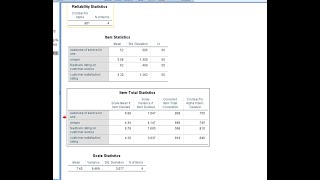 Cronbach Alpha reliability test using SPSS in Amharic [upl. by Digdirb854]