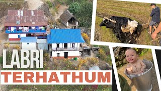 Limbu Village Vlog  Terhathum  Nepal [upl. by Eitirahc]