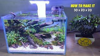 membuat aquascape simpel natural mudah buat pemula [upl. by Dorothy343]