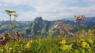 Steinbocktour im Allgäu Juli 2018 [upl. by Adaminah]