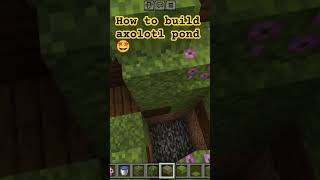 How to build an axolotl pond 🤩 music dance minecraft remix [upl. by Seugram]