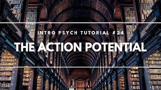 The Action Potential Intro Psych Tutorial 24 [upl. by Selwyn]