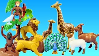 Safari Treehouse Adventure Playset Ania Animals Toys Video [upl. by Ainesy]