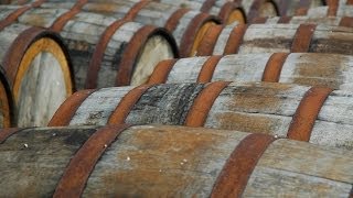 What Is Cask Strength aka Barrel Proof  Whiskey Guide [upl. by Coit]